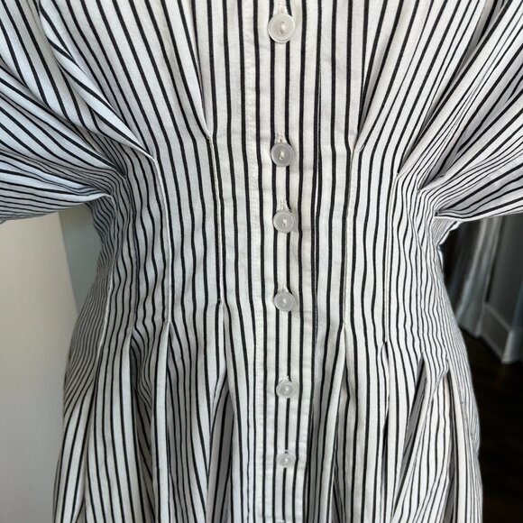 Anthropology The Tobie Button-Front Pleated Shirt Dress by Exquise - Picture 4 of 14